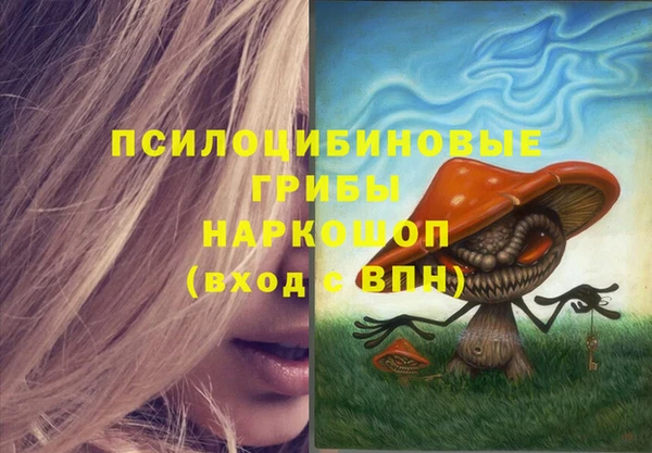 дурь Каменка