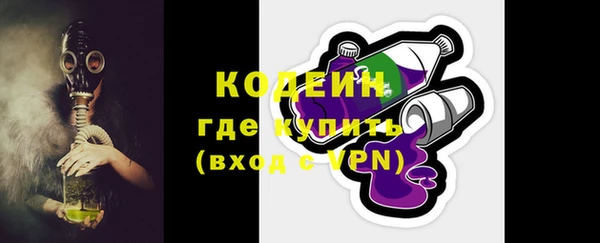 дурь Каменка