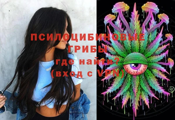 стафф Каменск-Шахтинский
