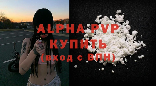 дурь Каменка