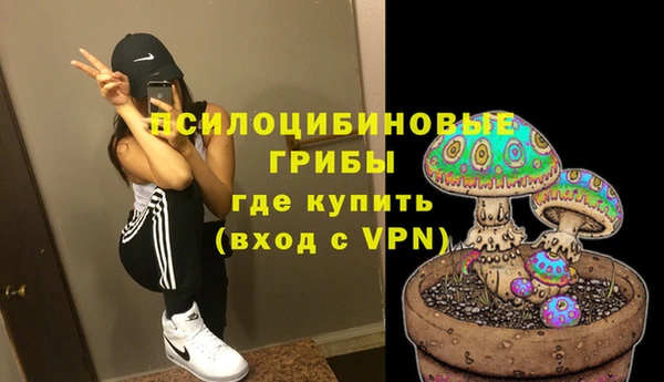 молекула духа Каменногорск