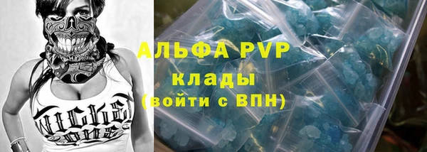 молекула духа Каменногорск
